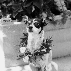 Gallery Photo 64