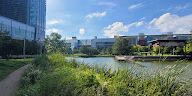 Picture of Discovery Green
