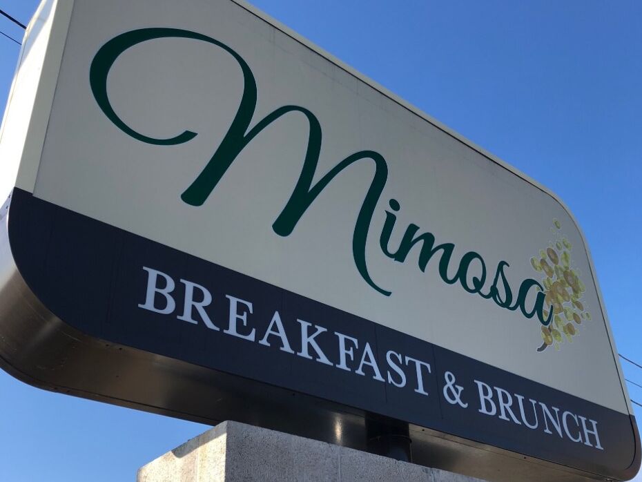 Picture of Mimosa