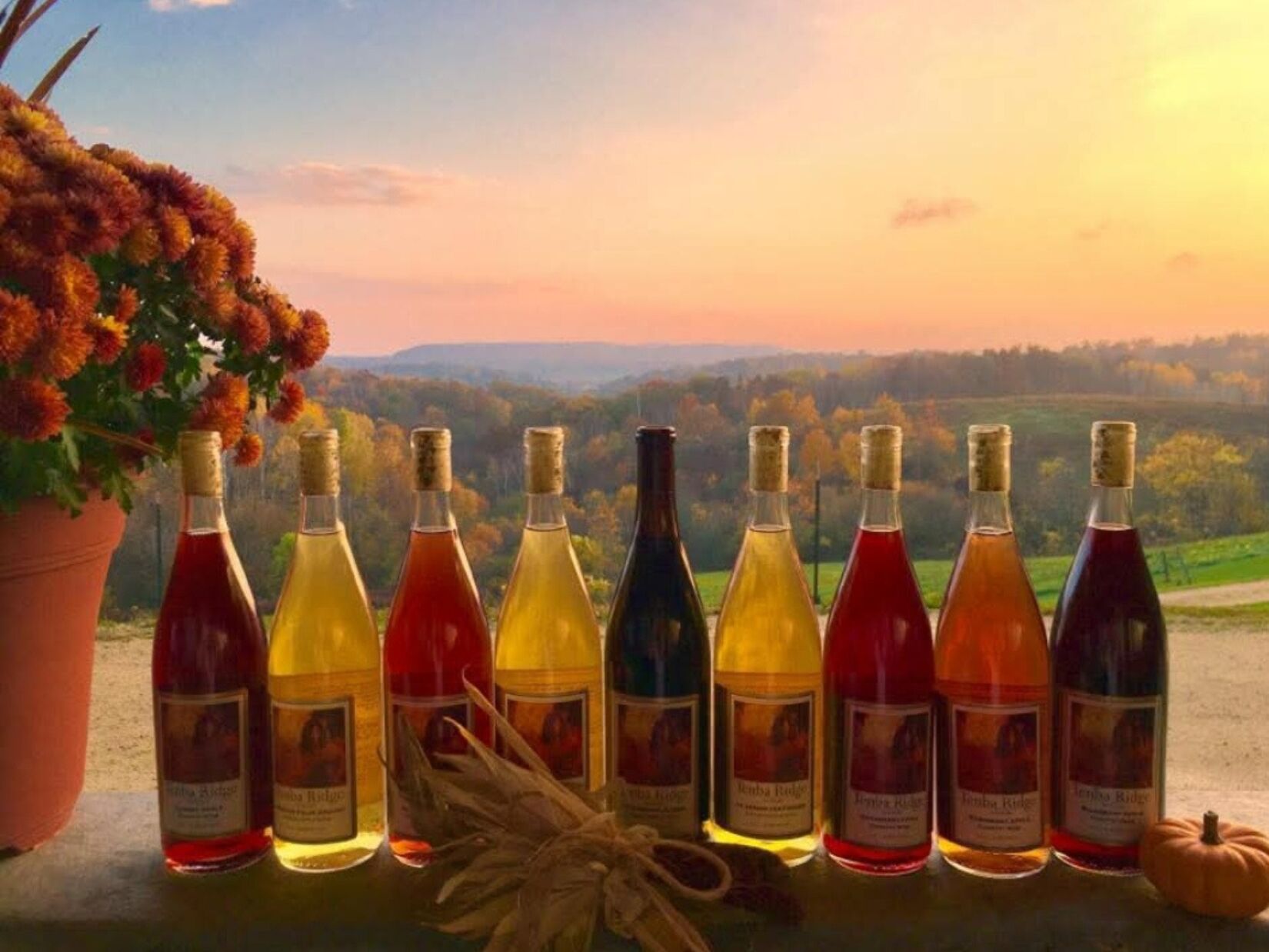 Picture of Tenba Ridge Winery