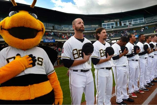 Picture of Salt Lake Bees