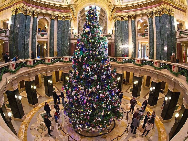 Picture of Visit the Capital Tree