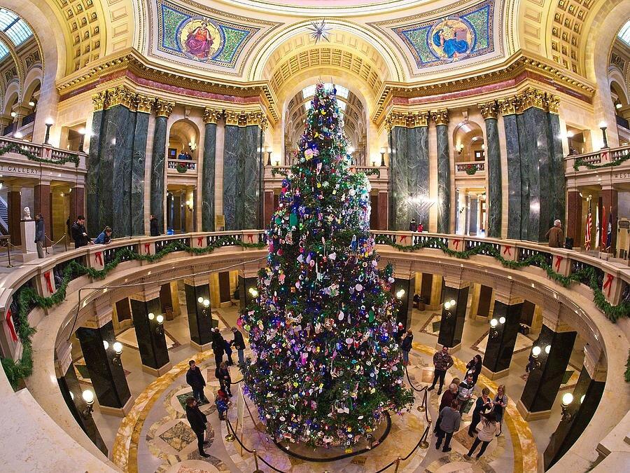 Picture of Visit the Capital Tree