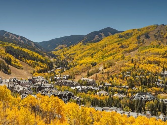 Picture of Leaf Peeping