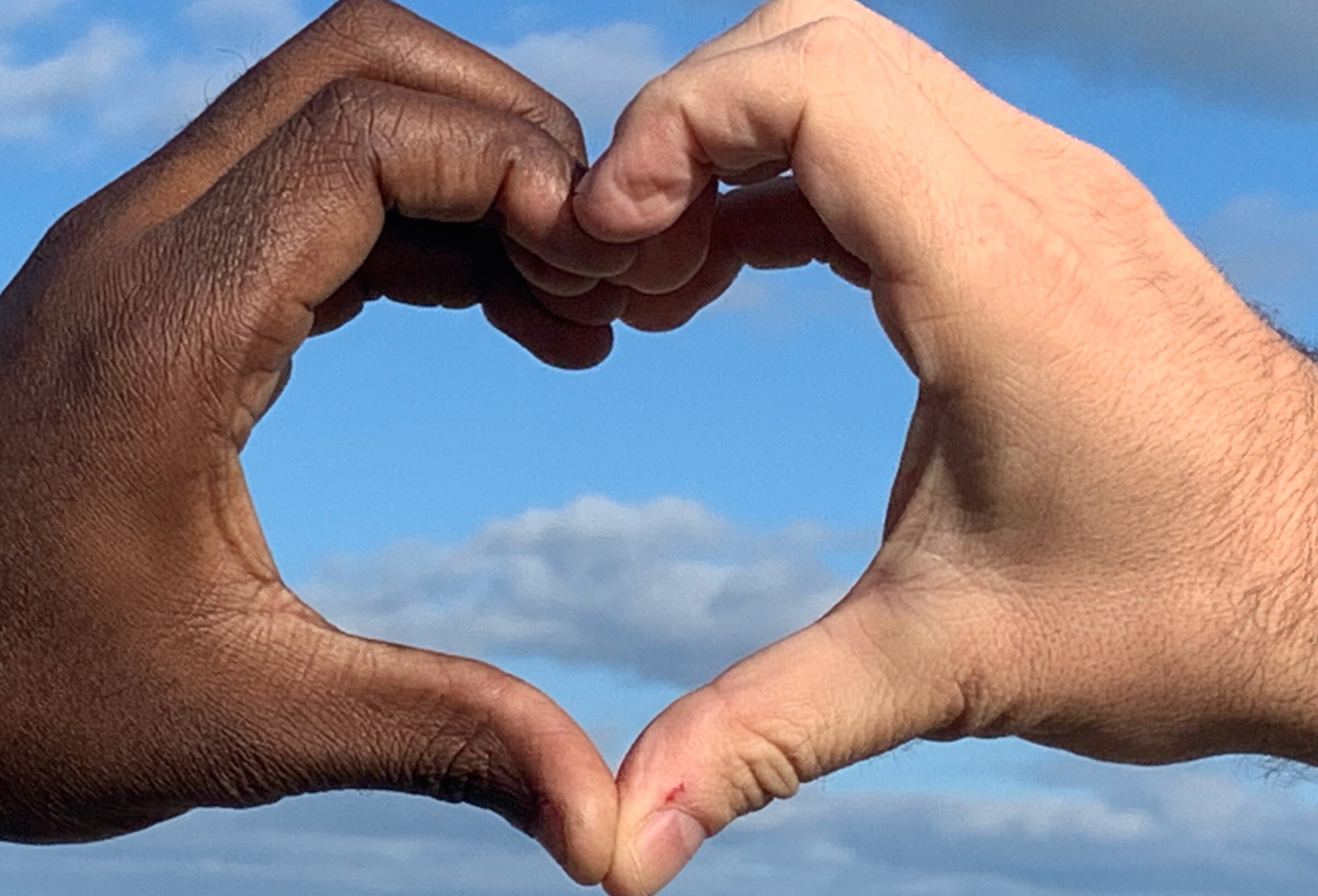 Michael & David Home Page Banner