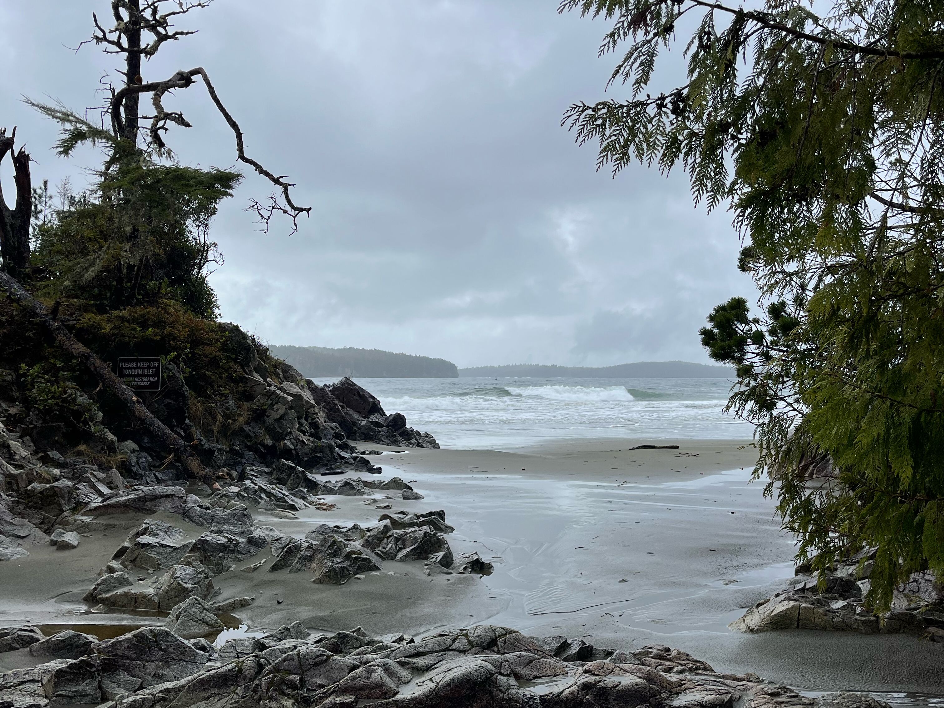 Picture of Tonquin Park