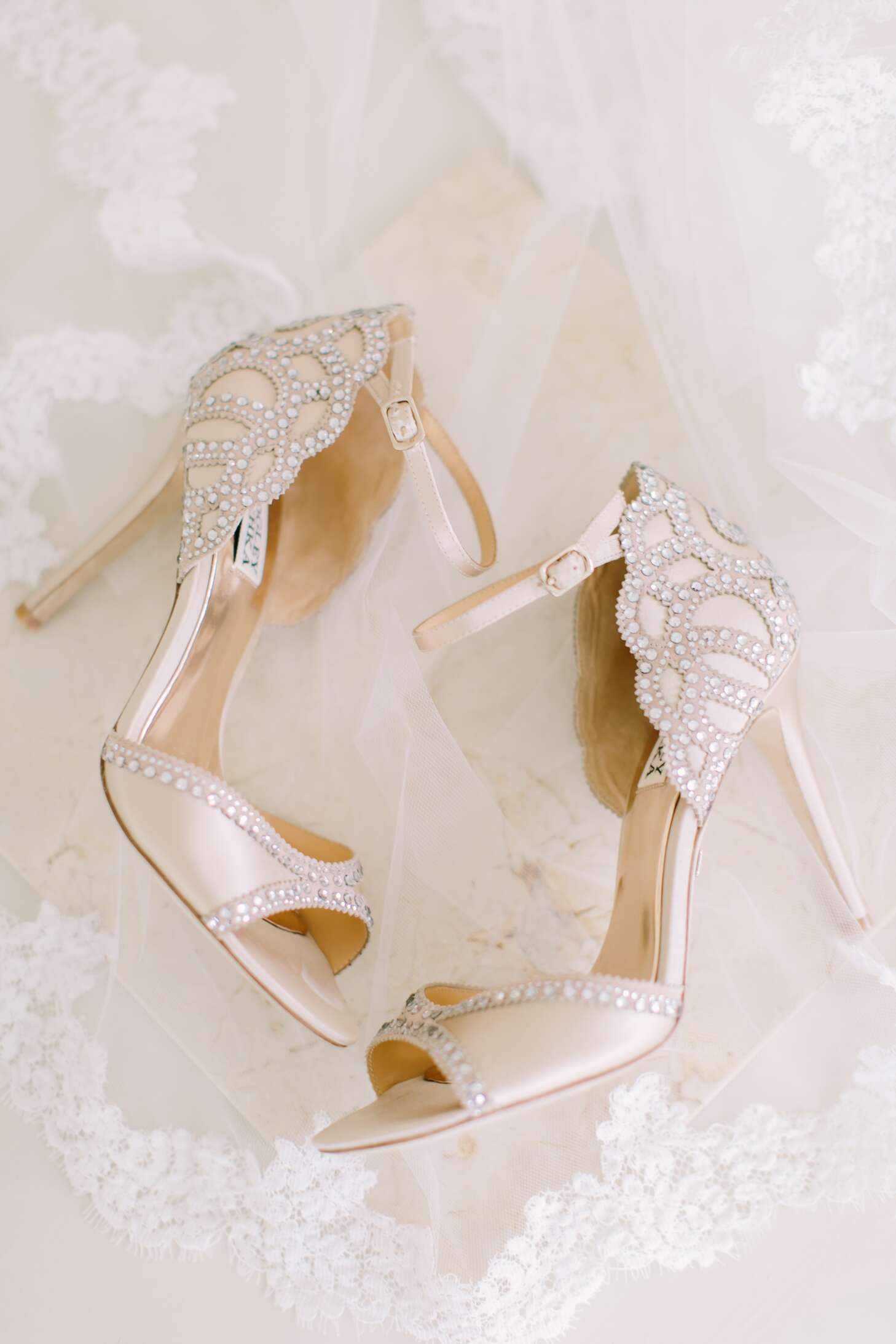 Embellished Ankle Strap Badgley Shoes