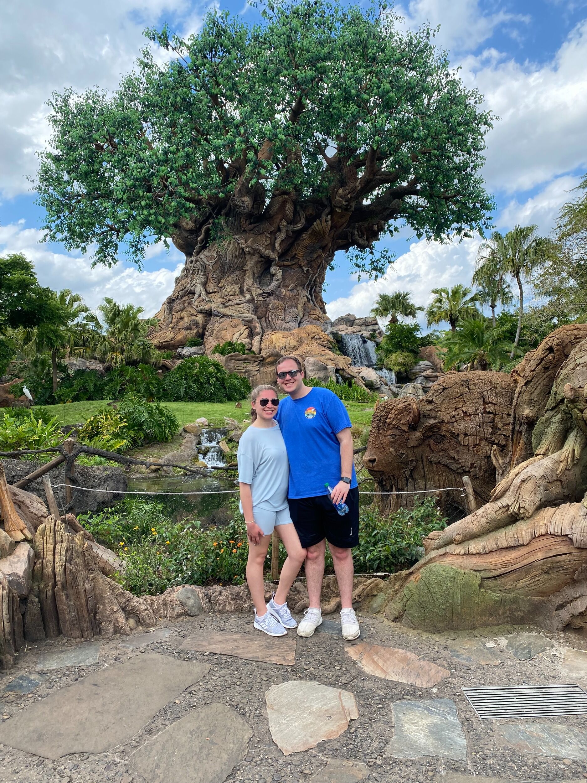 Picture of Disney- 2022