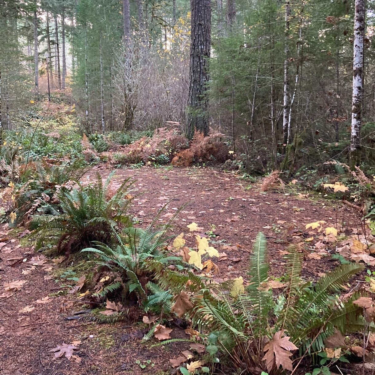 Picture of Tent spots