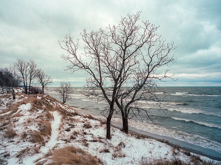 Picture of Saugatuck Dunes State Park