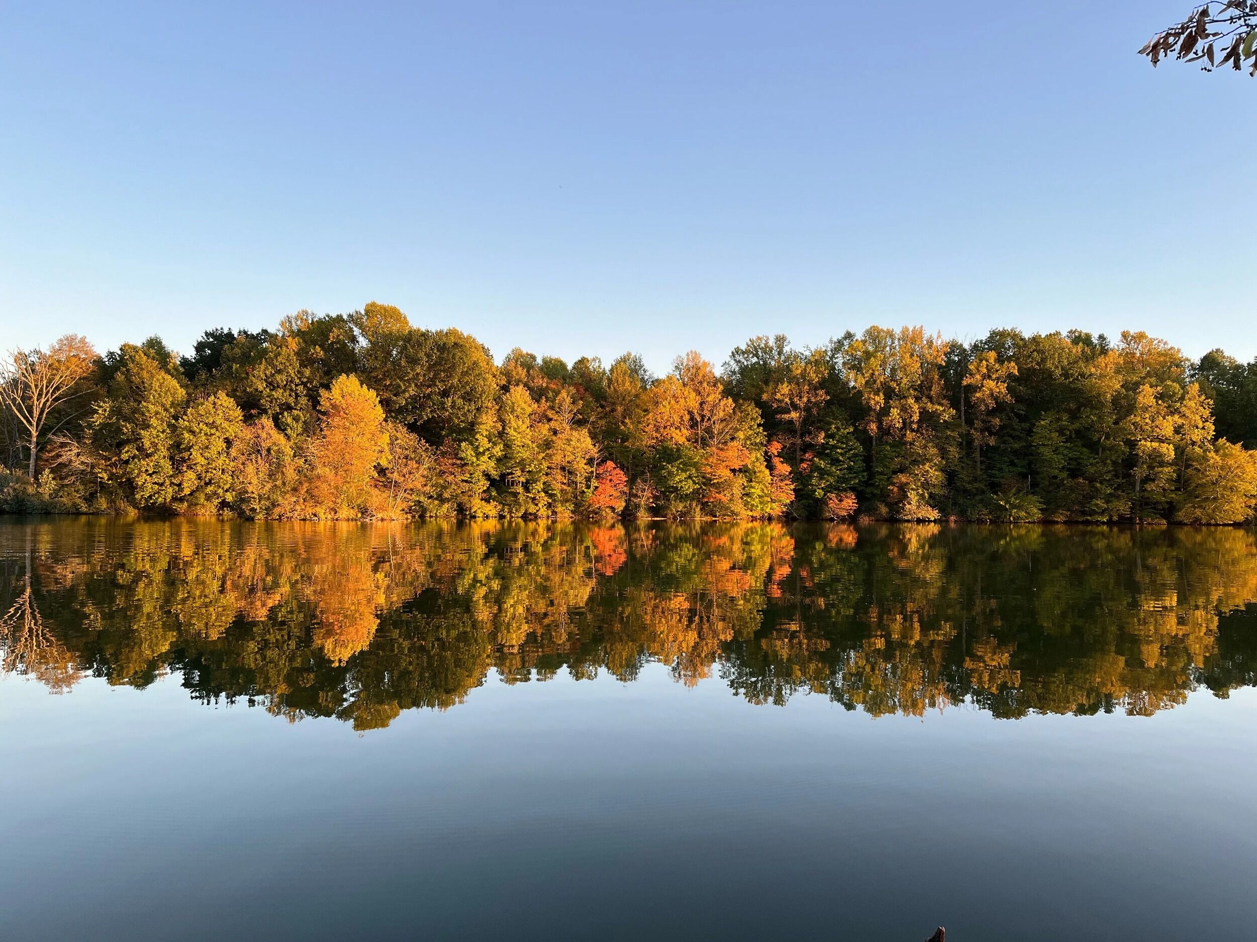 Picture of Potato Creek State Park