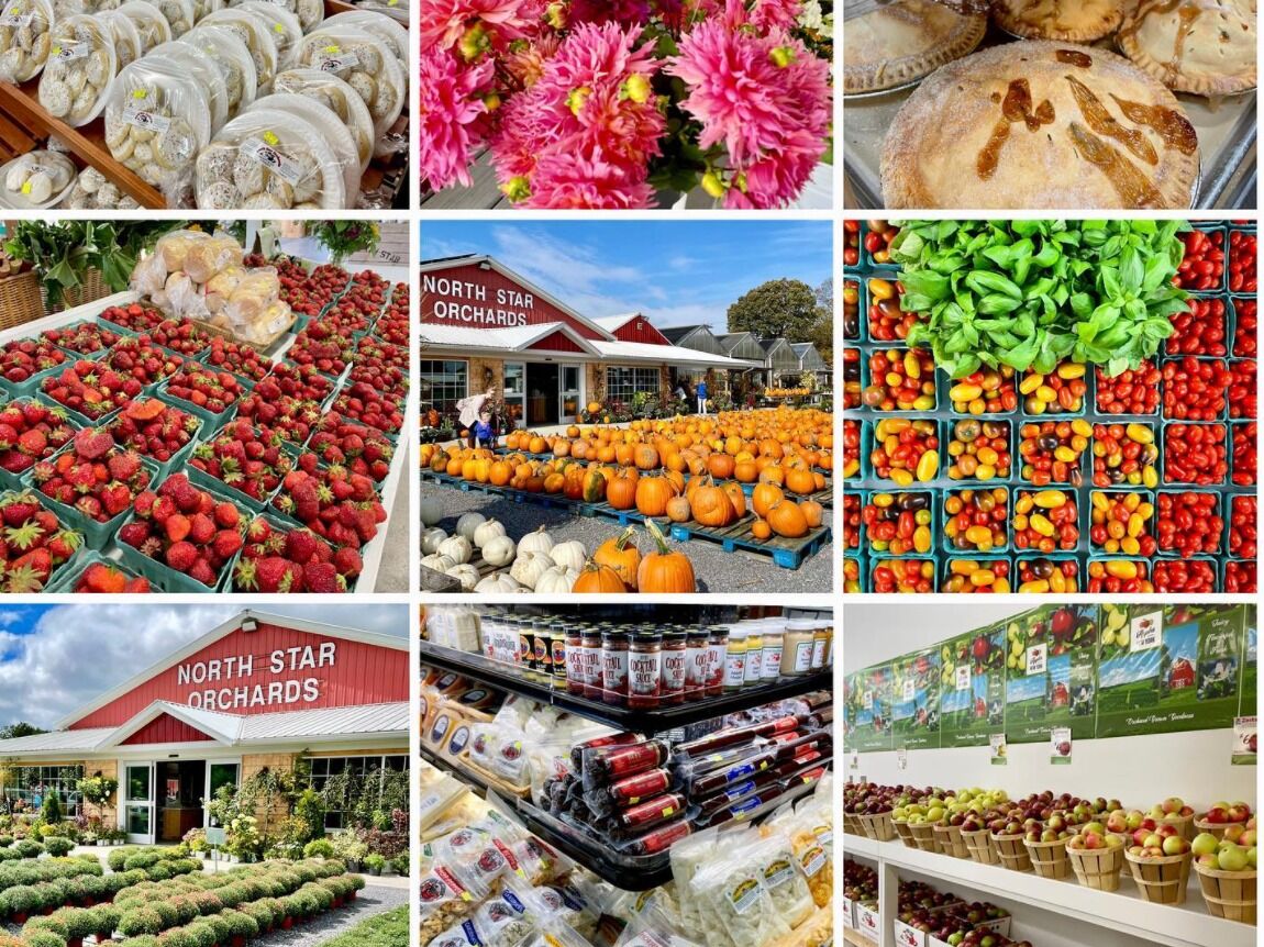 Picture of North Star Orchards