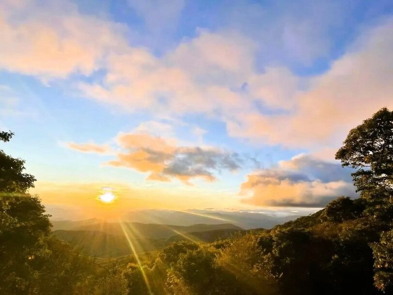 Picture of Scenic Tours & Adventures