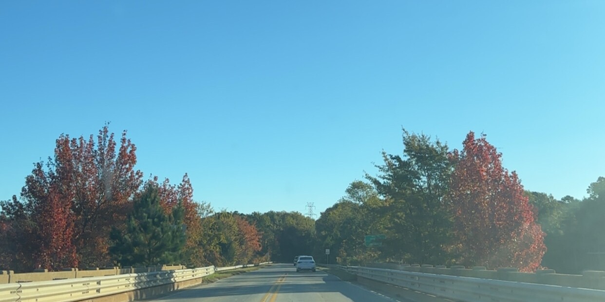 Home Page Banner