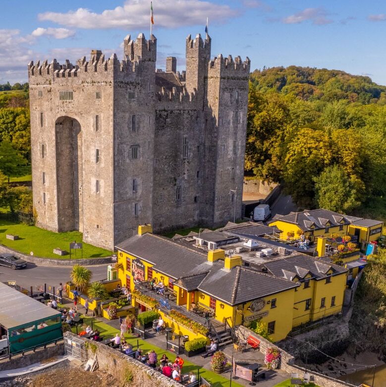 Picture of Bunratty Castle & Folk Park