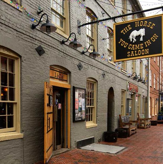 Picture of The Horse You Came In On Saloon