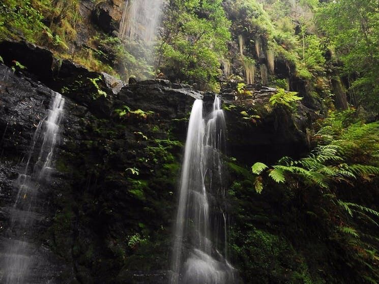 Picture of Fairy Bower Falls
