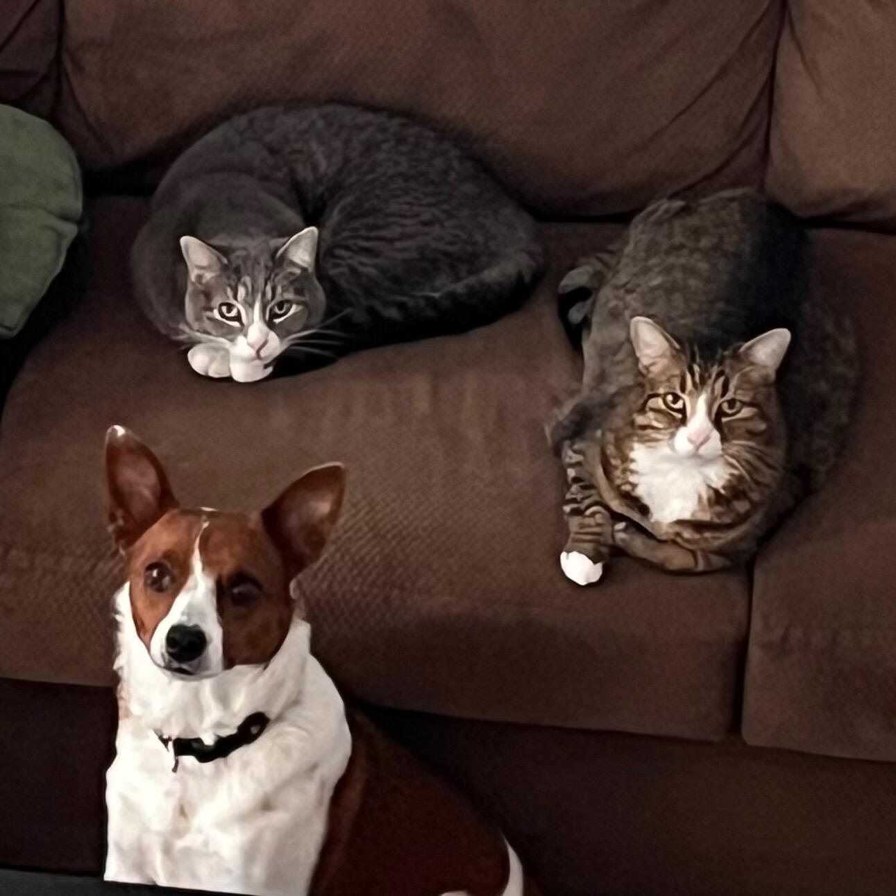 The Creatures