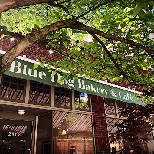 Picture of Blue Dog Bakery & Cafe