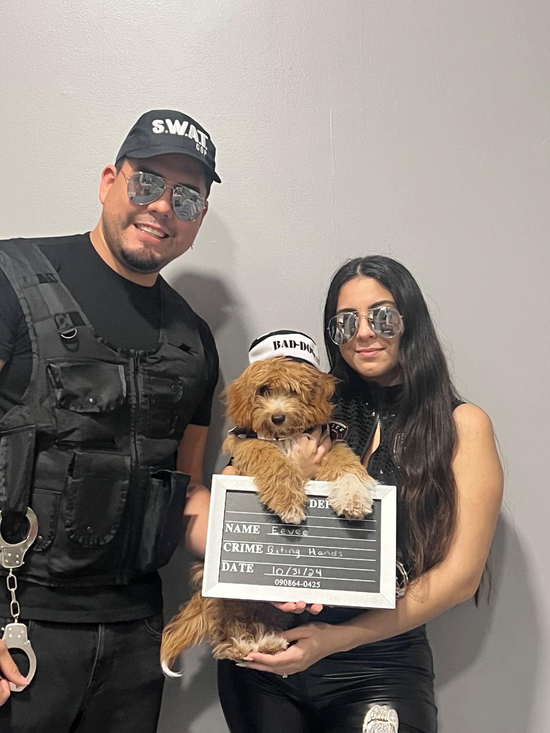 We got our beautiful baby Eevee on September 7th, 2024.
Obtuvimos nuestra hermosa bebé Eevee el 7 de septiembre de 2024.