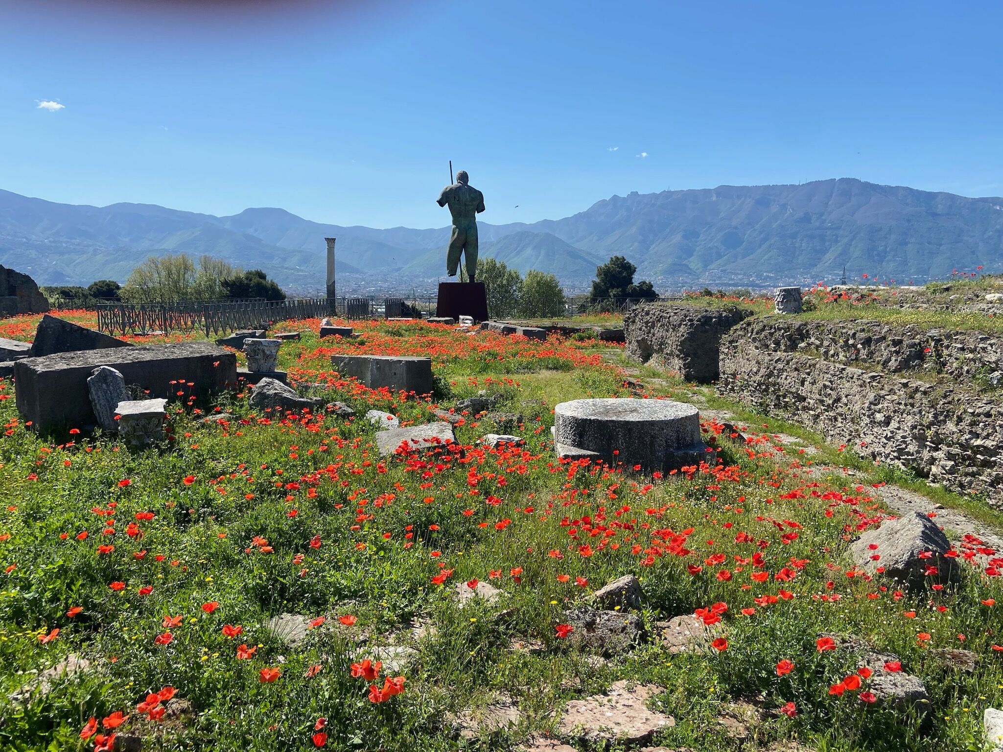 Picture of Pompeii, Herculaneum and Mount Vesuvius 