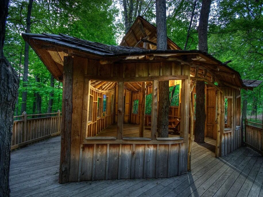 Picture of Mt. Airy Forest