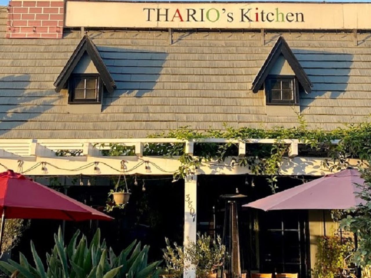 Picture of Thario's Kitchen