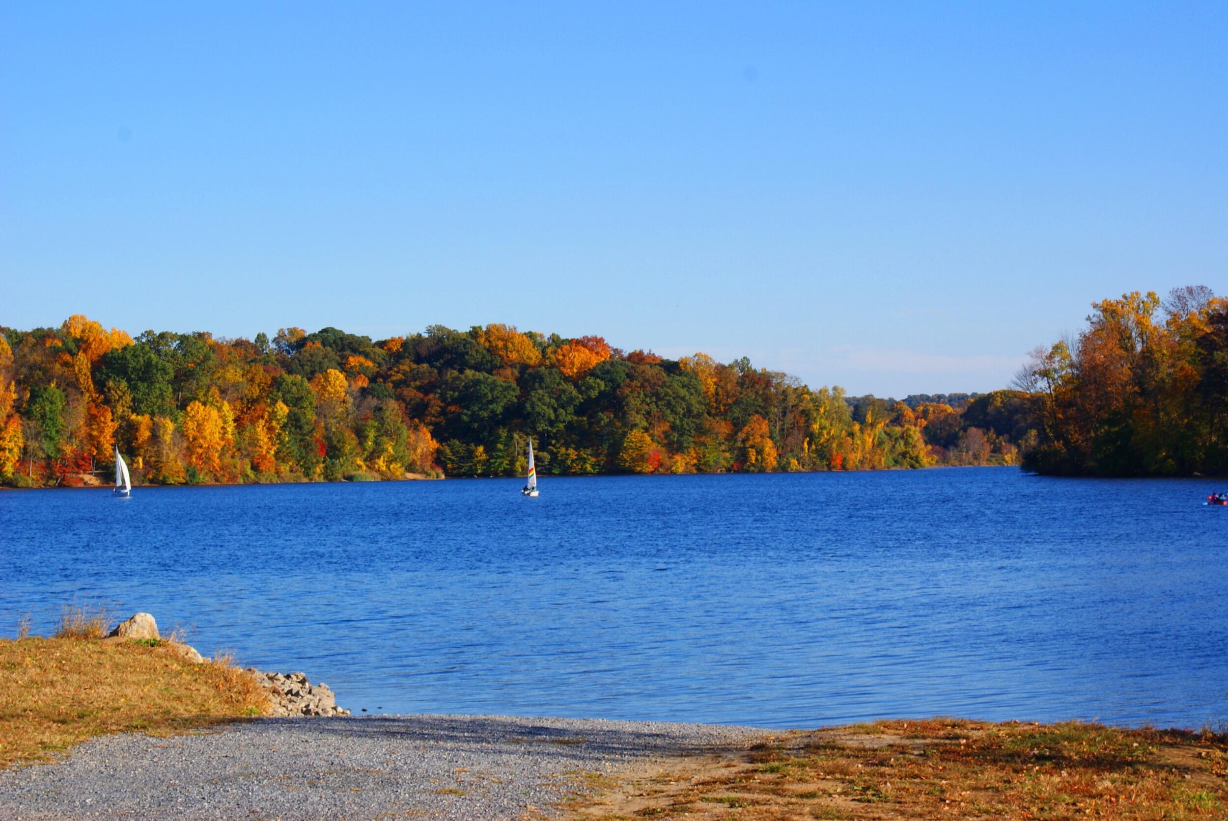 Picture of Marsh Creek State Park