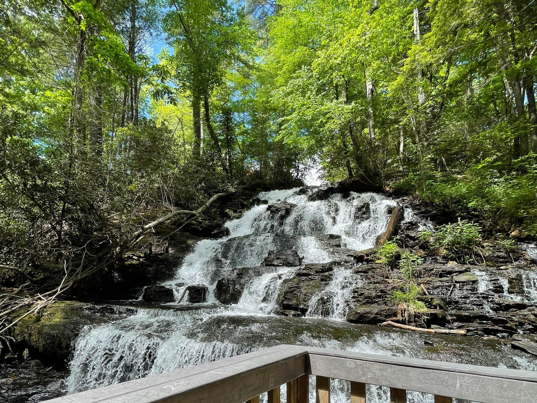 Picture of Vogel State Park