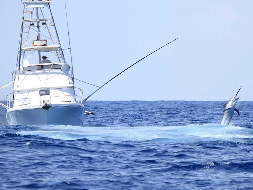 Picture of Deep Sea Half Day Sport Fishing St. Vincent & The Grenadines