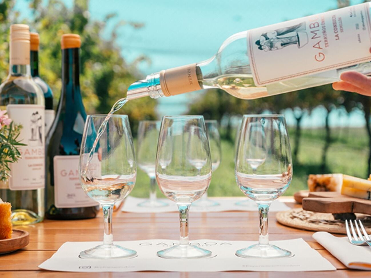 Picture of Vineyard Tour + Tasting