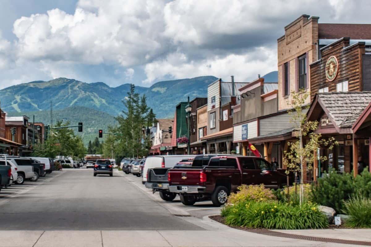Picture of Whitefish