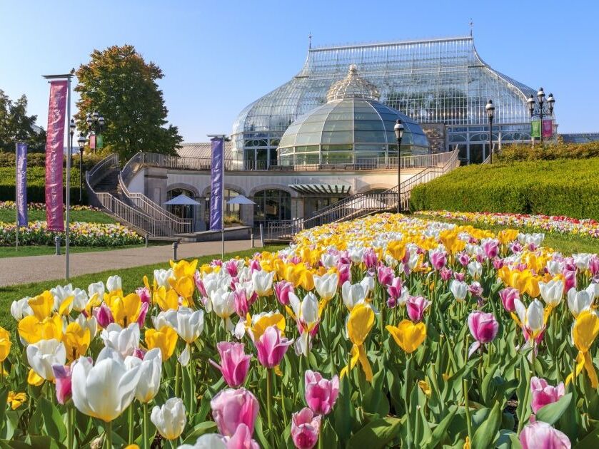 Picture of Phipps Conservatory and Botanical Gardens