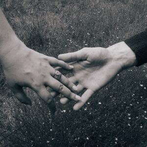 Gallery Photo 25