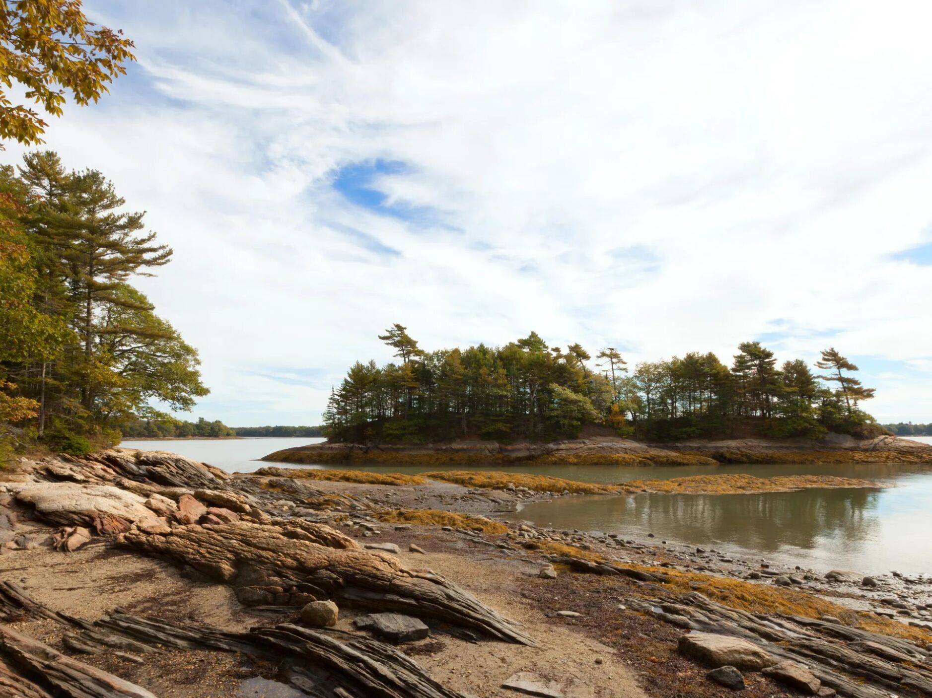 Picture of Wolfe's Neck Woods State Park