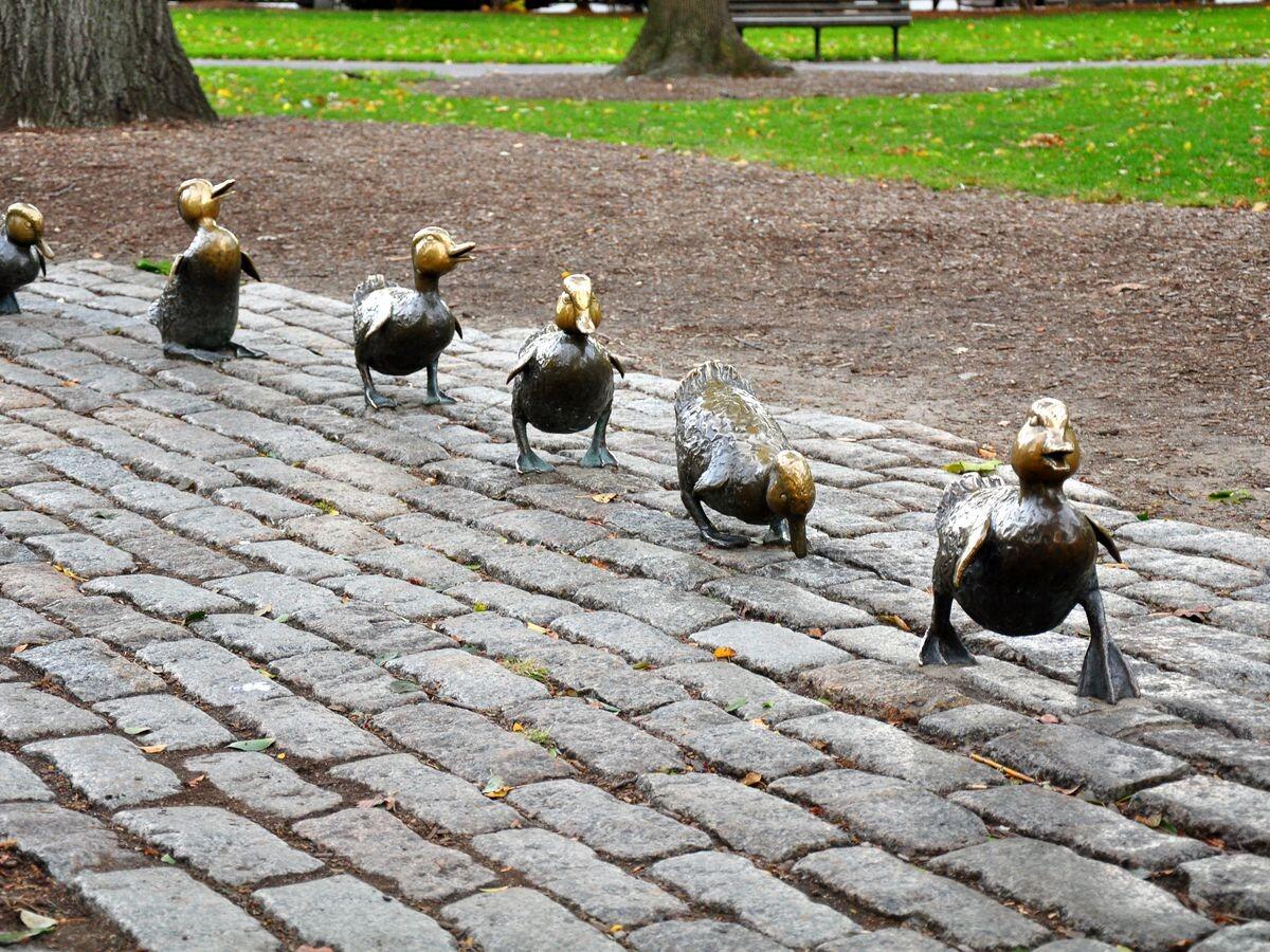Picture of Boston Common