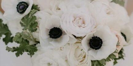 Gabrielle  & Joseph Home Page Banner