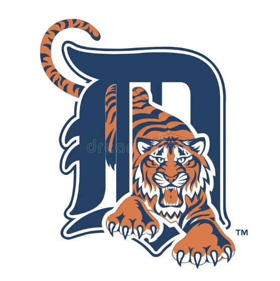 Picture of Tiger's Game!