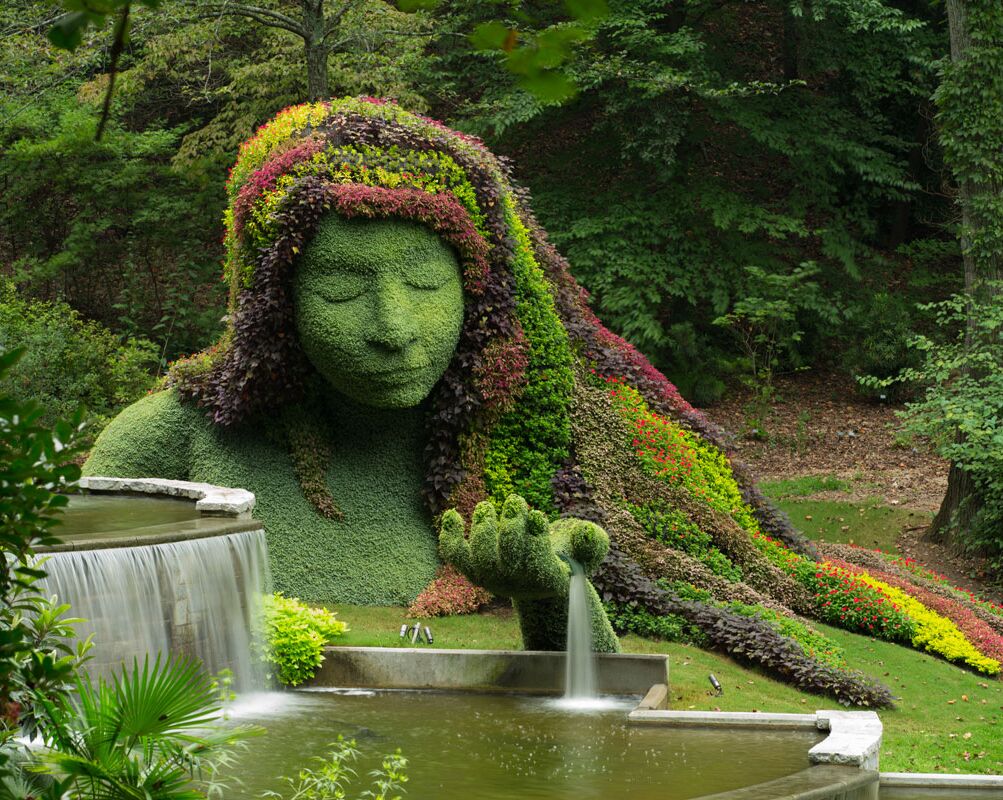 Picture of Atlanta Botanical Garden