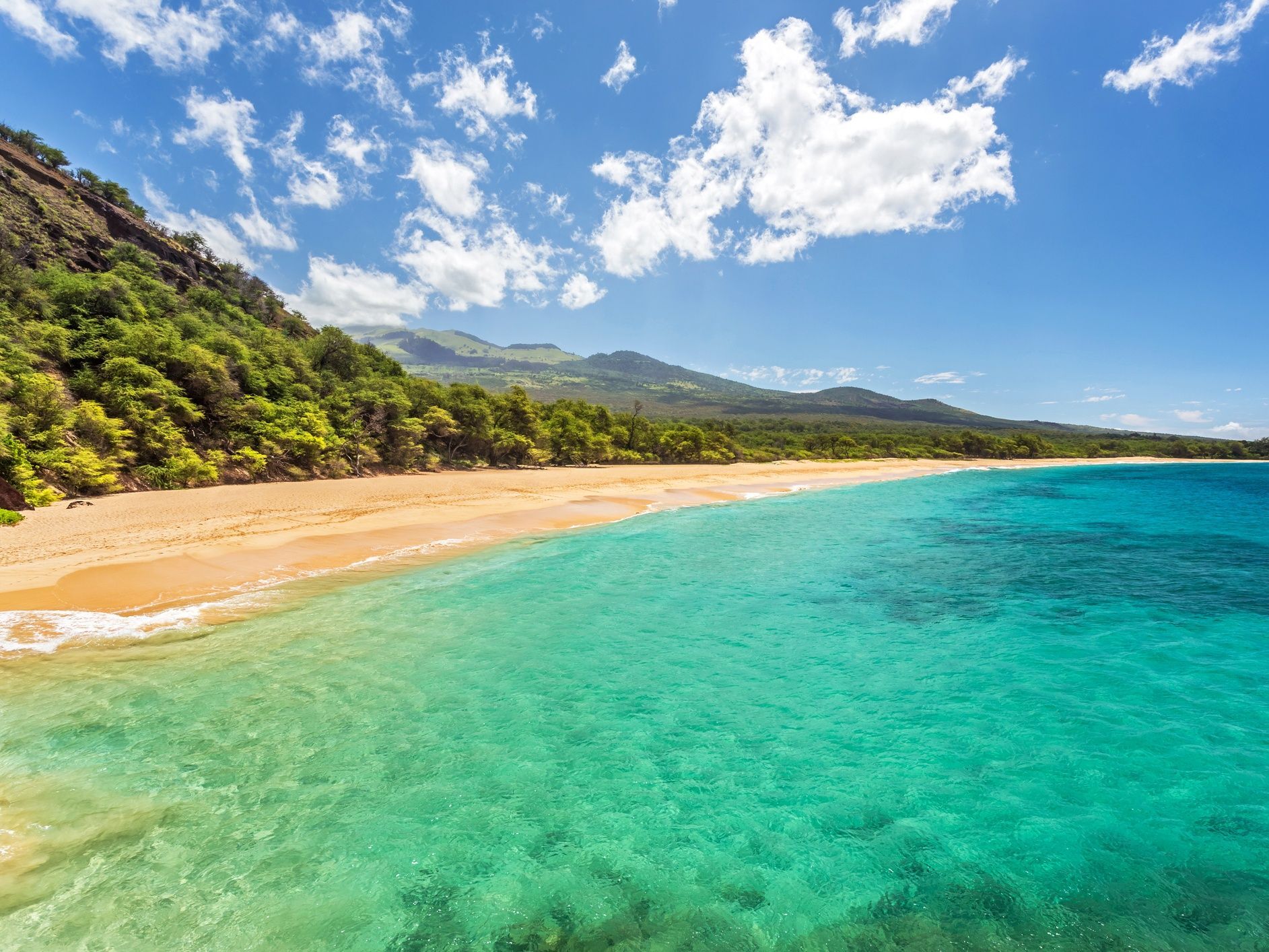 Picture of MAKENA BAY BEACH