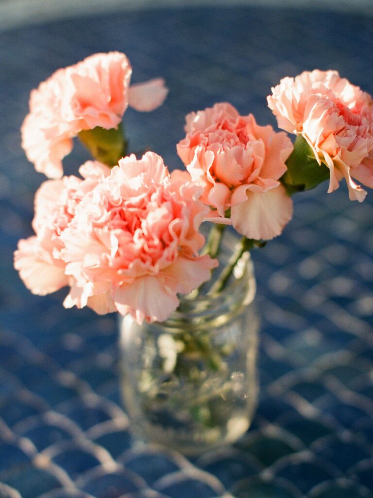 glass mason jar with pink carnations