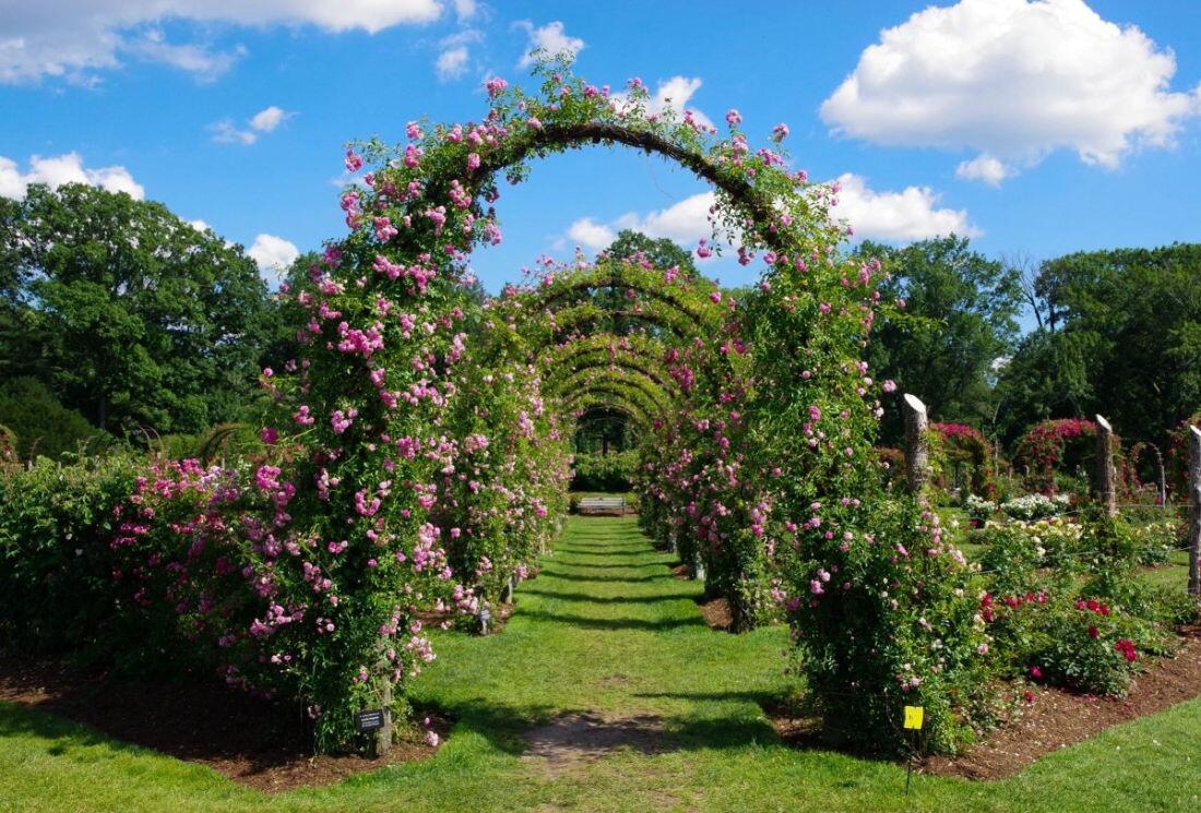 Picture of Elizabeth Park