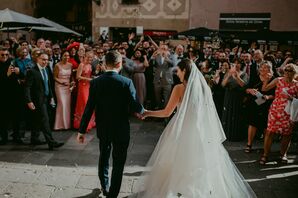Dramatic Cathedral-Length Blusher Veil