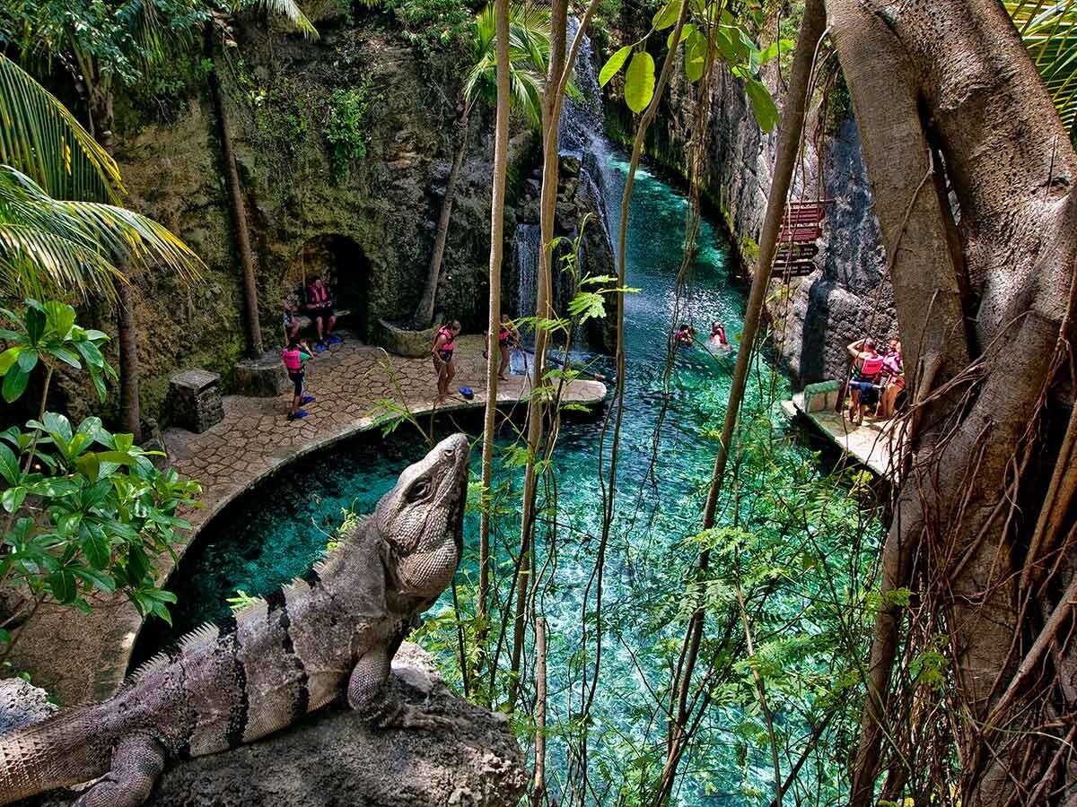 Picture of Xenses Park: