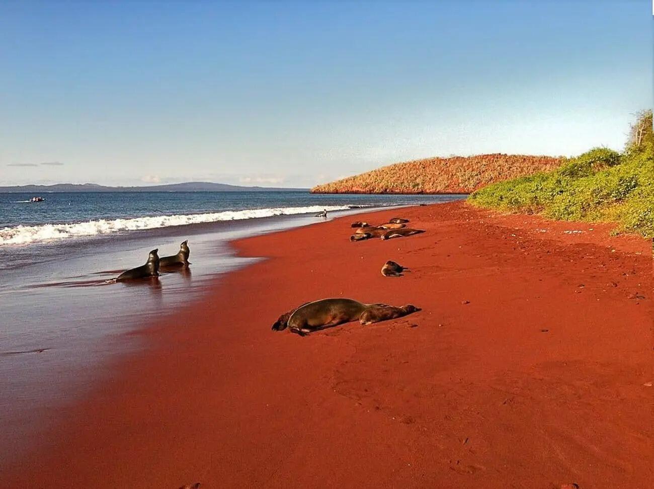 Picture of Galapagos Islands Sailing Nemo II - October 20th to 23rd