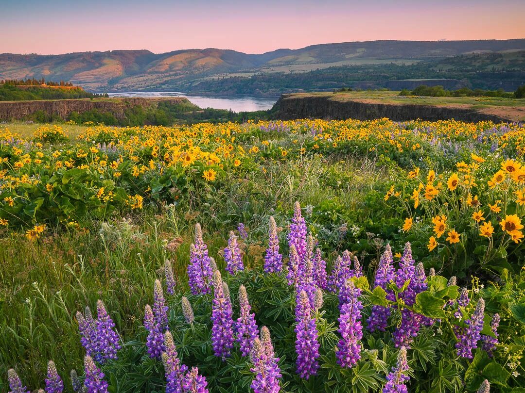 Picture of Rowena Crest Viewpoint