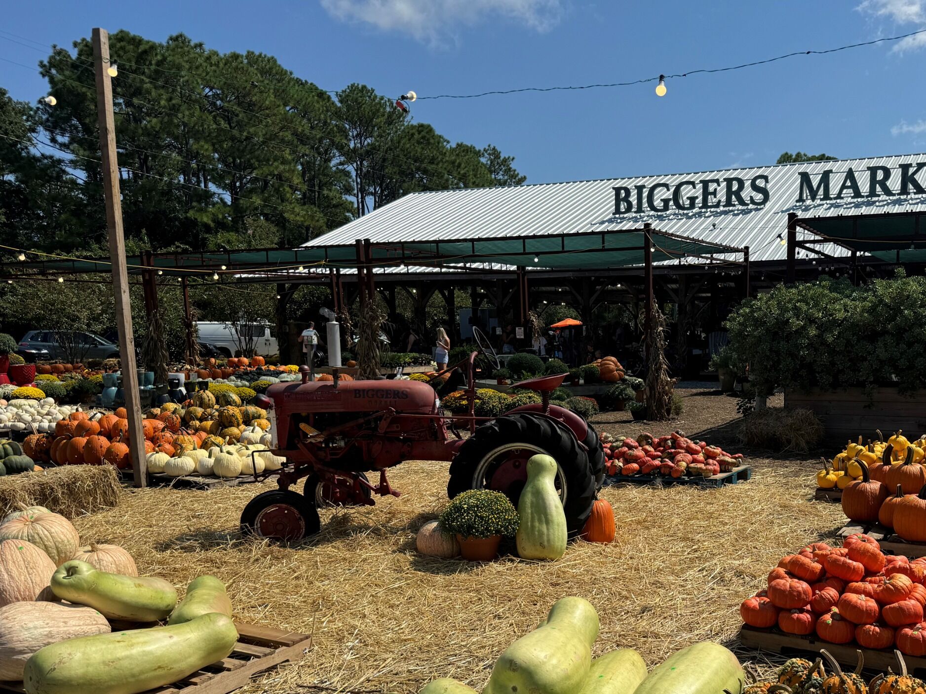 Picture of Biggers Market