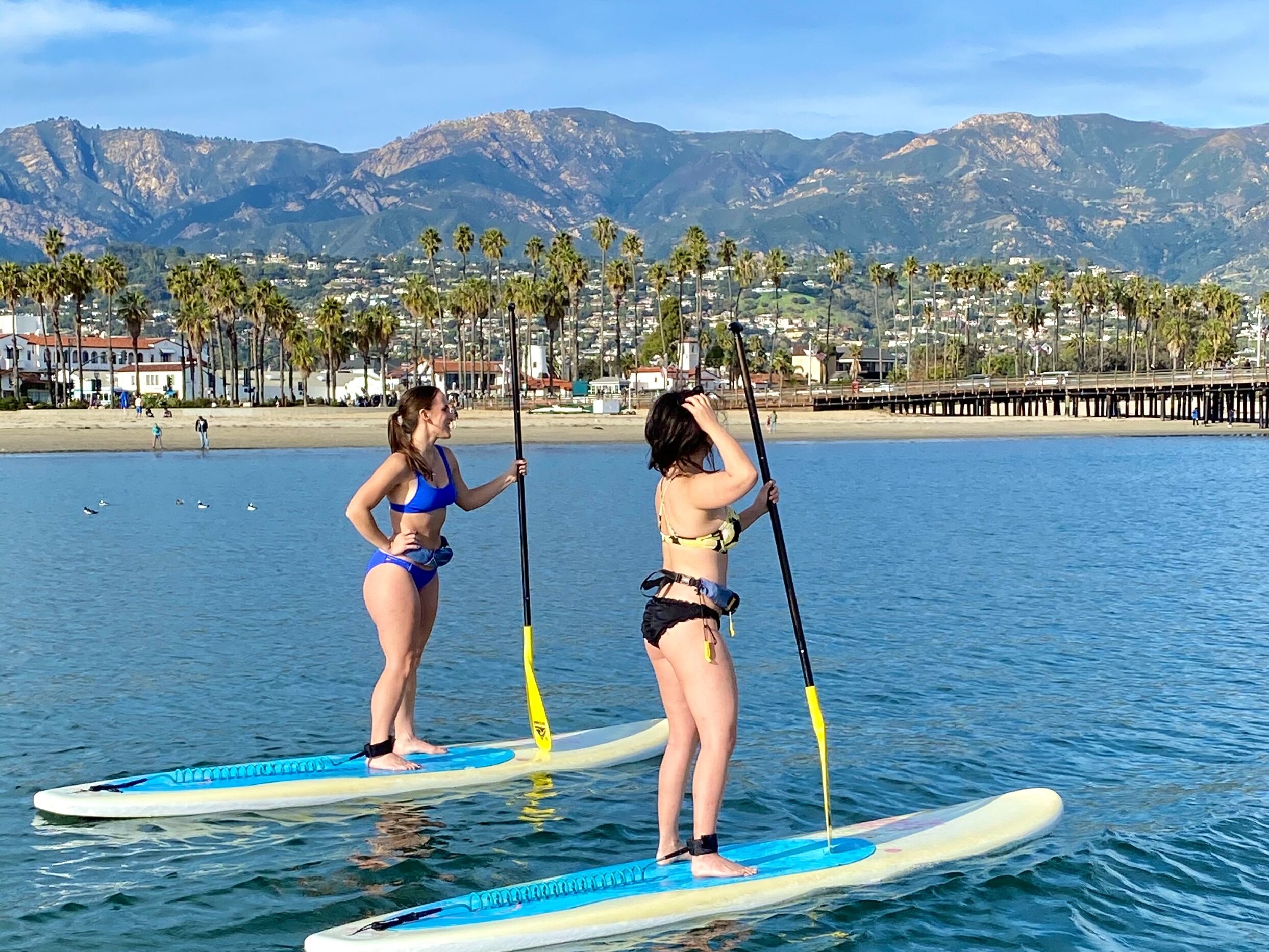 Picture of Paddle Boarding in the Harbor