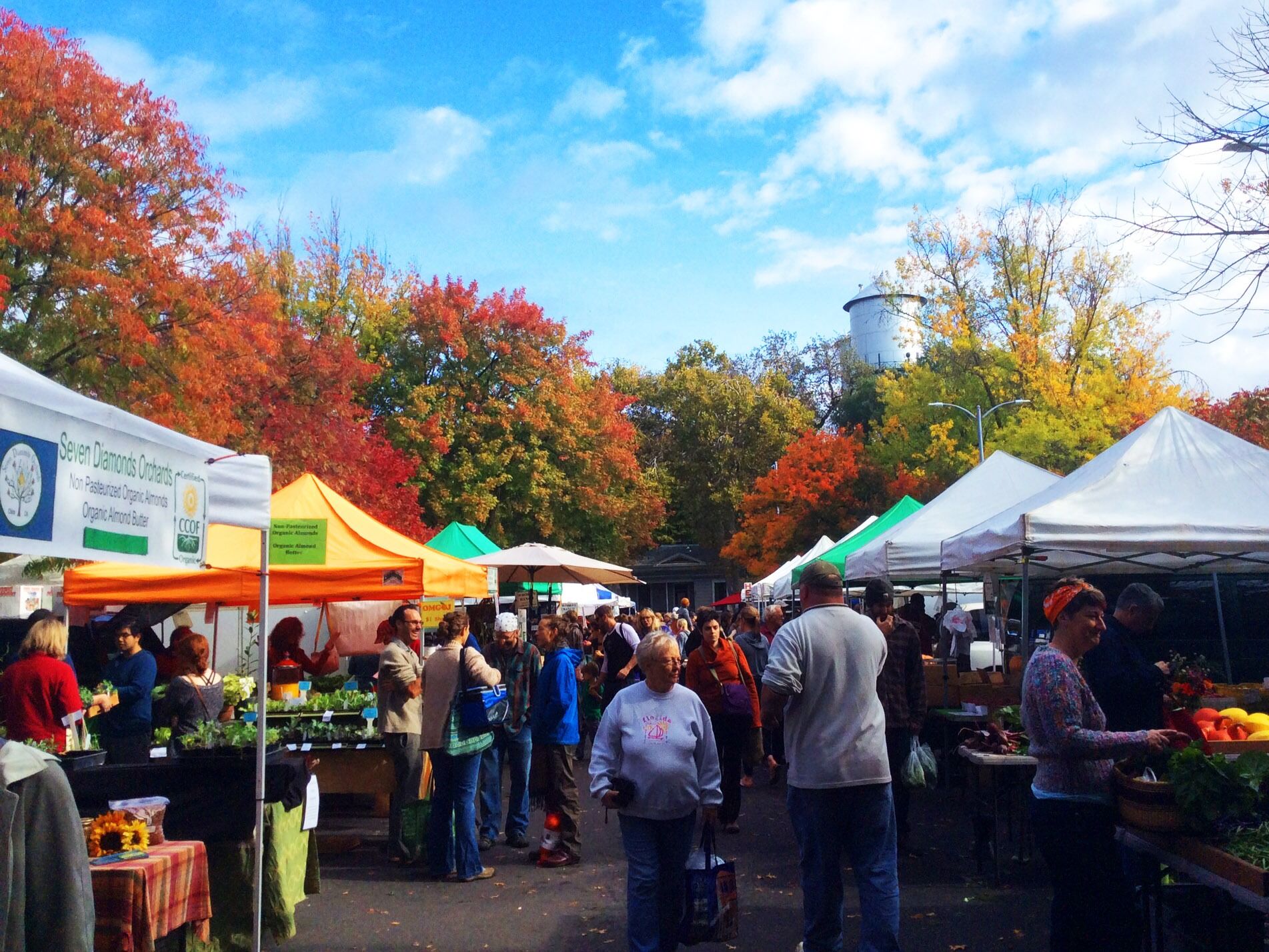 Picture of Saturday Morning Farmers' Market