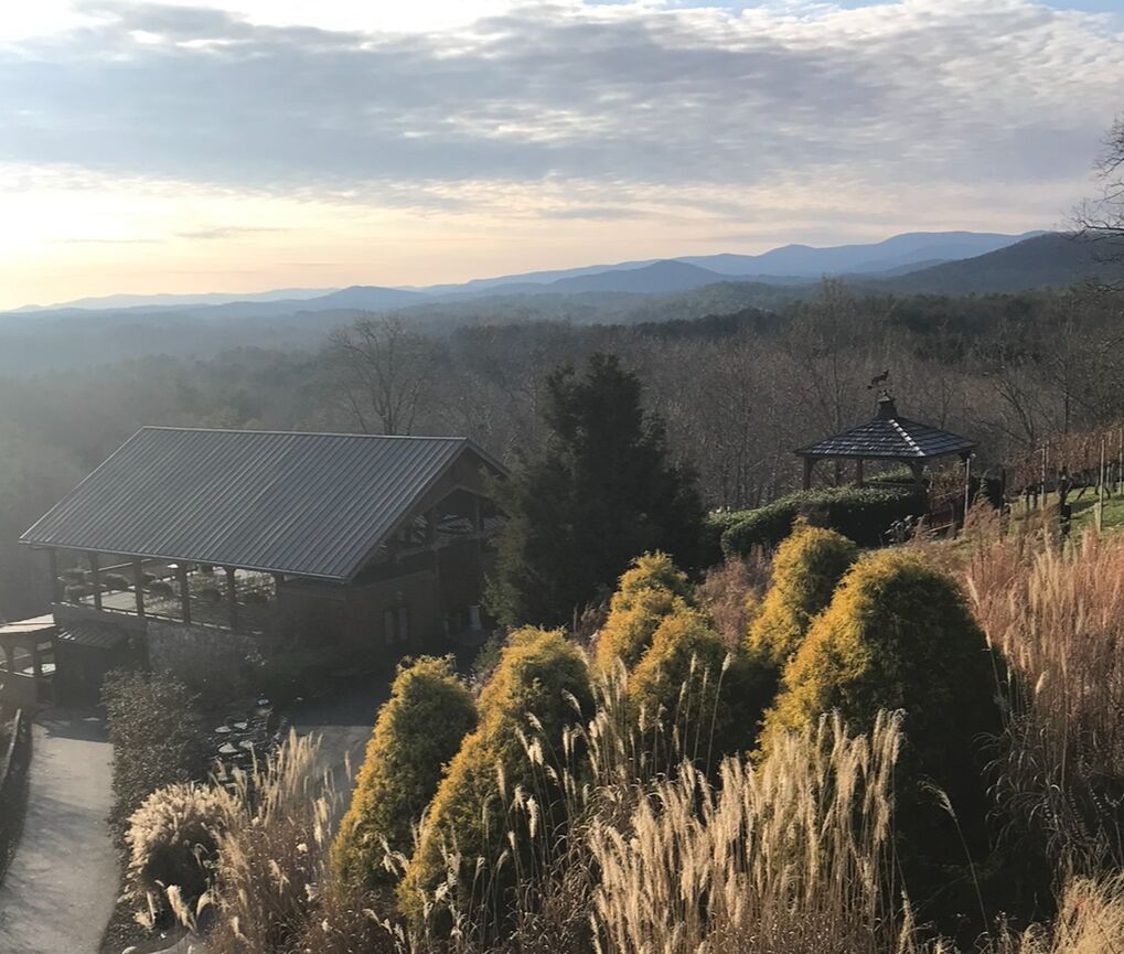 Picture of Wine Tasting In The Mountains 